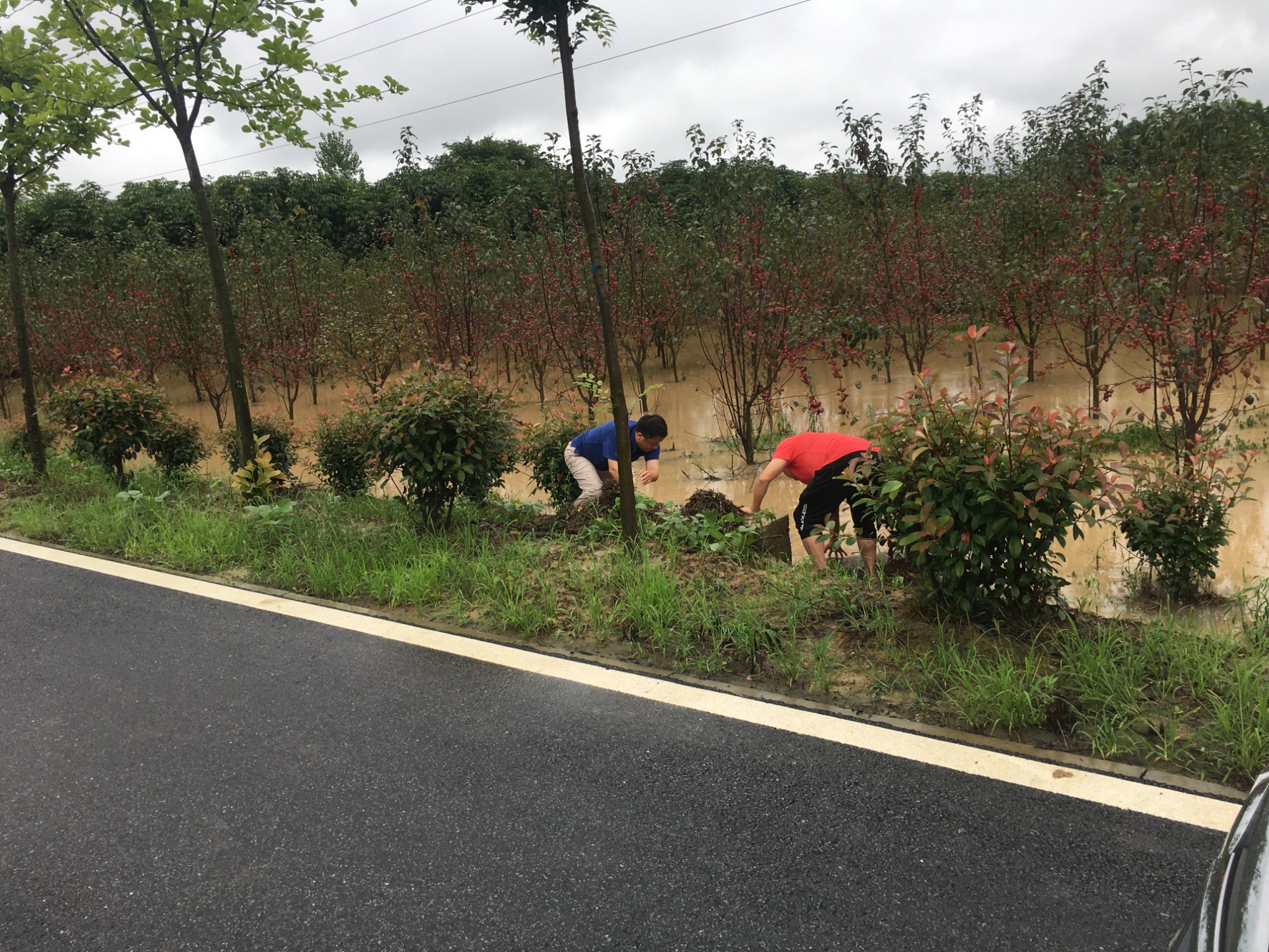 圖片關(guān)鍵詞 圖片關(guān)鍵詞