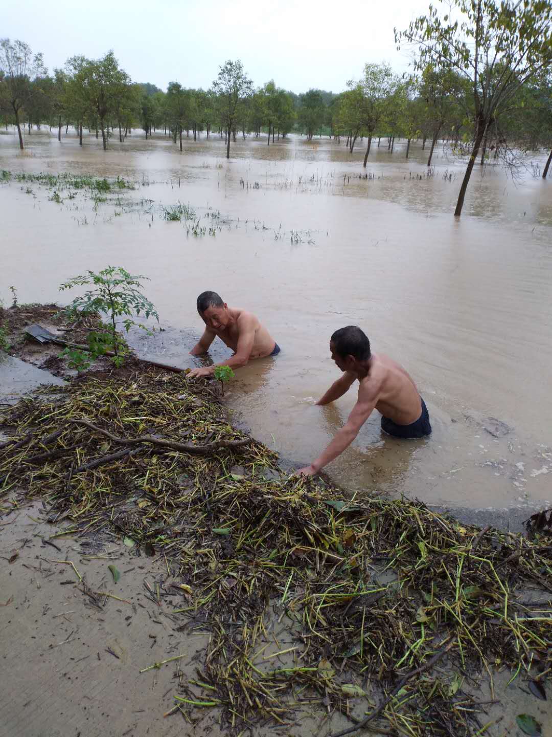 圖片關(guān)鍵詞 圖片關(guān)鍵詞