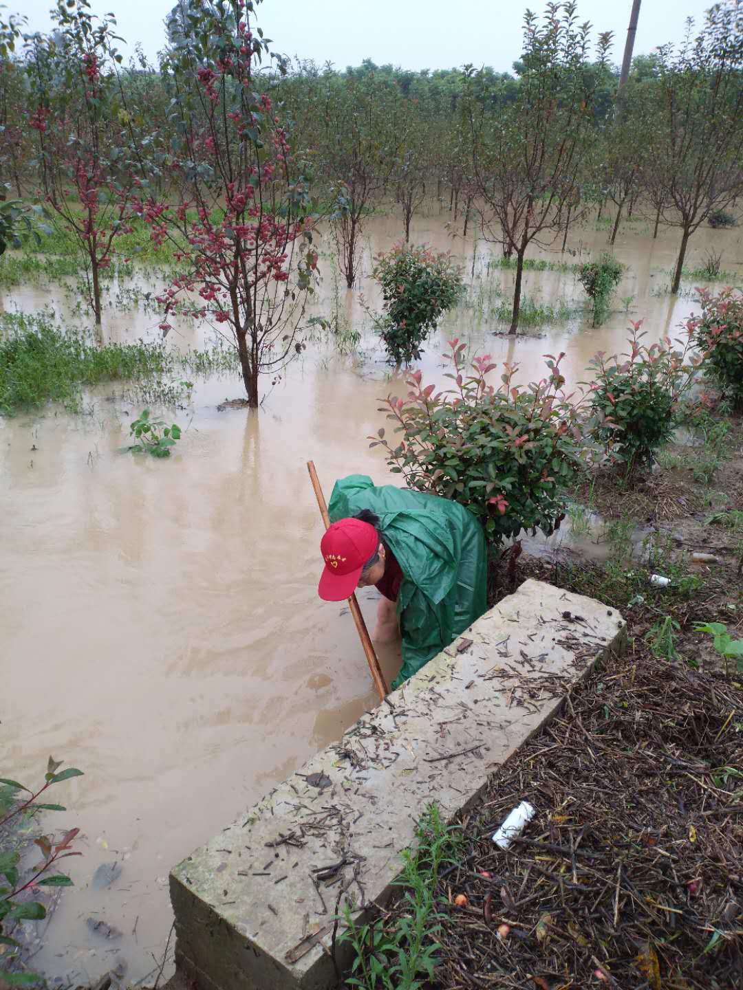 圖片關(guān)鍵詞 圖片關(guān)鍵詞