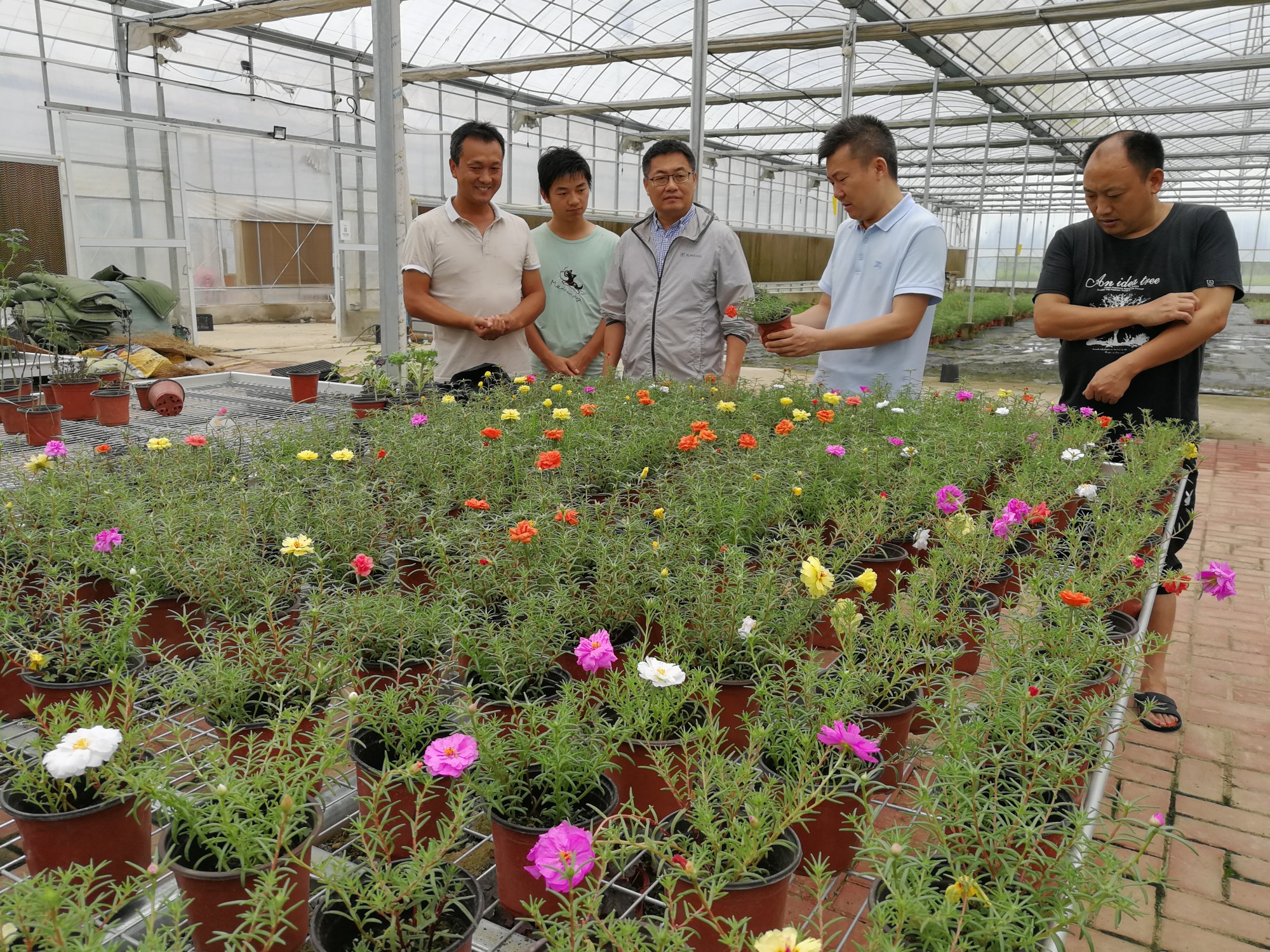 圖片關(guān)鍵詞 圖片關(guān)鍵詞