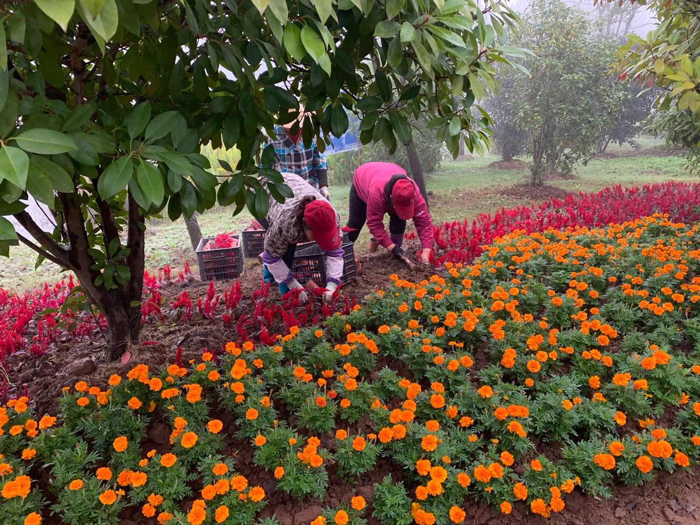 圖片關(guān)鍵詞 圖片關(guān)鍵詞