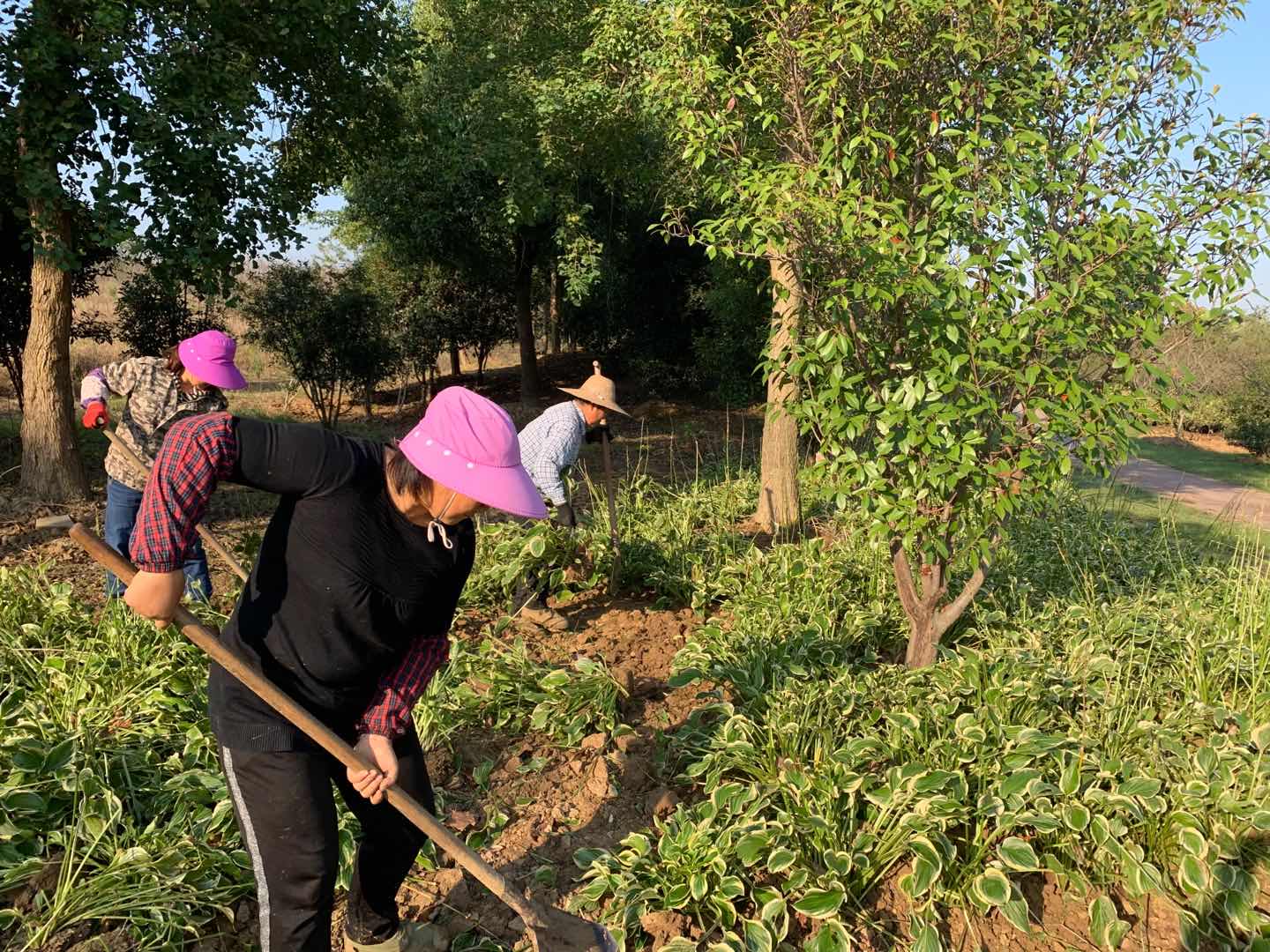 圖片關(guān)鍵詞 圖片關(guān)鍵詞