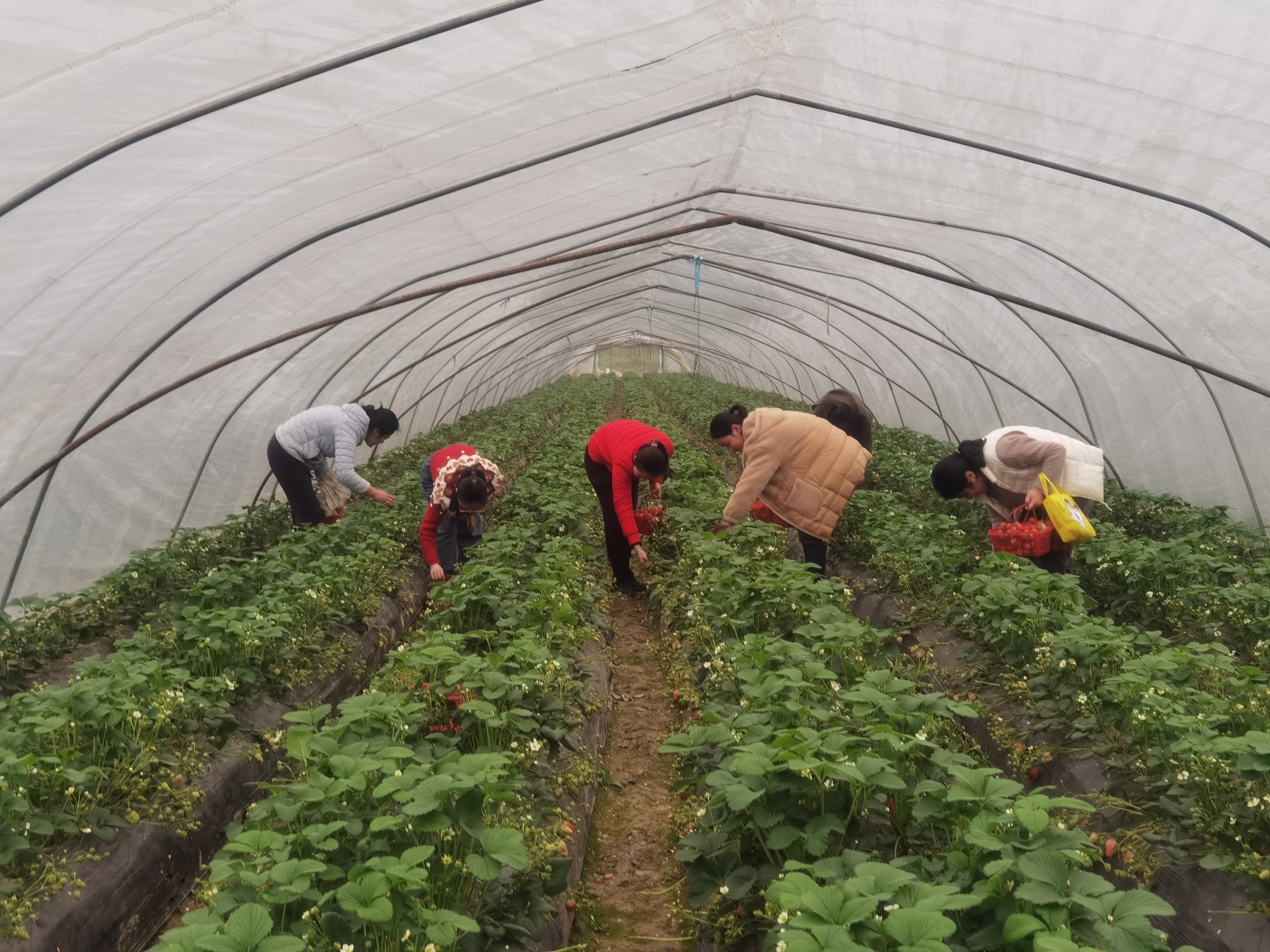 圖片關(guān)鍵詞 圖片關(guān)鍵詞