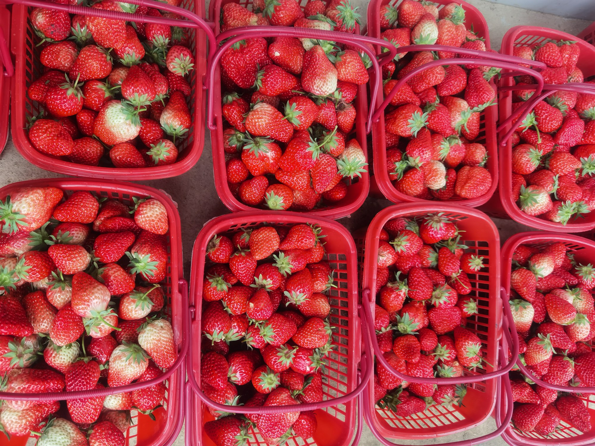 圖片關(guān)鍵詞 圖片關(guān)鍵詞