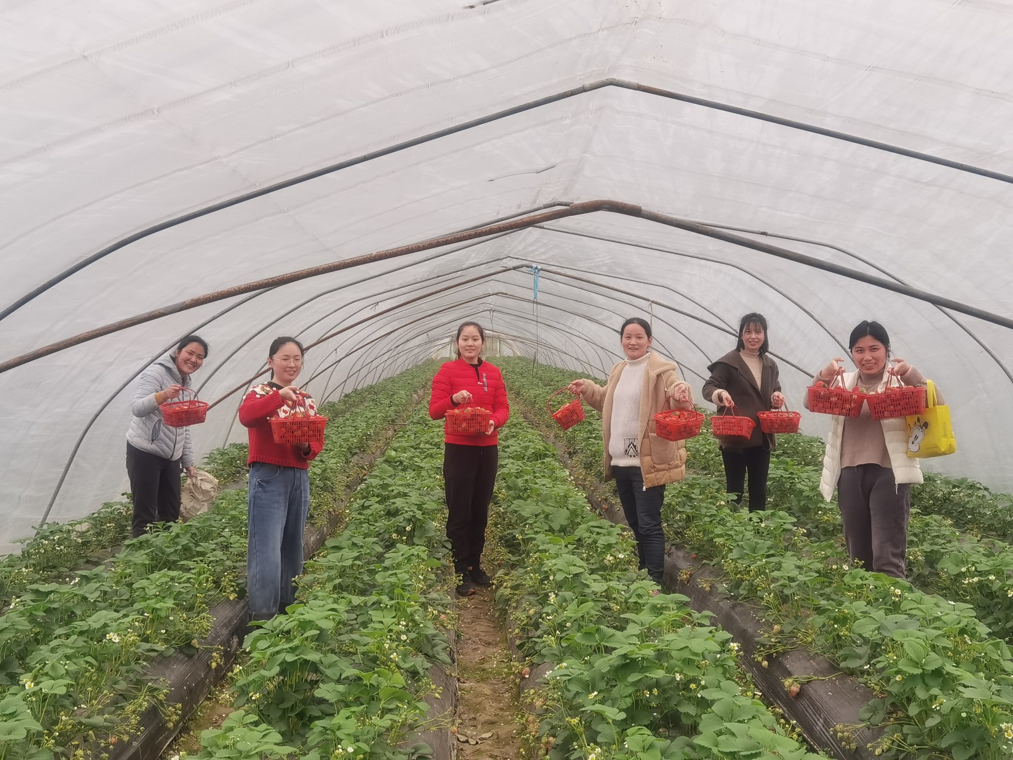 圖片關(guān)鍵詞 圖片關(guān)鍵詞