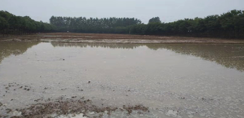 圖片關鍵詞 圖片關鍵詞