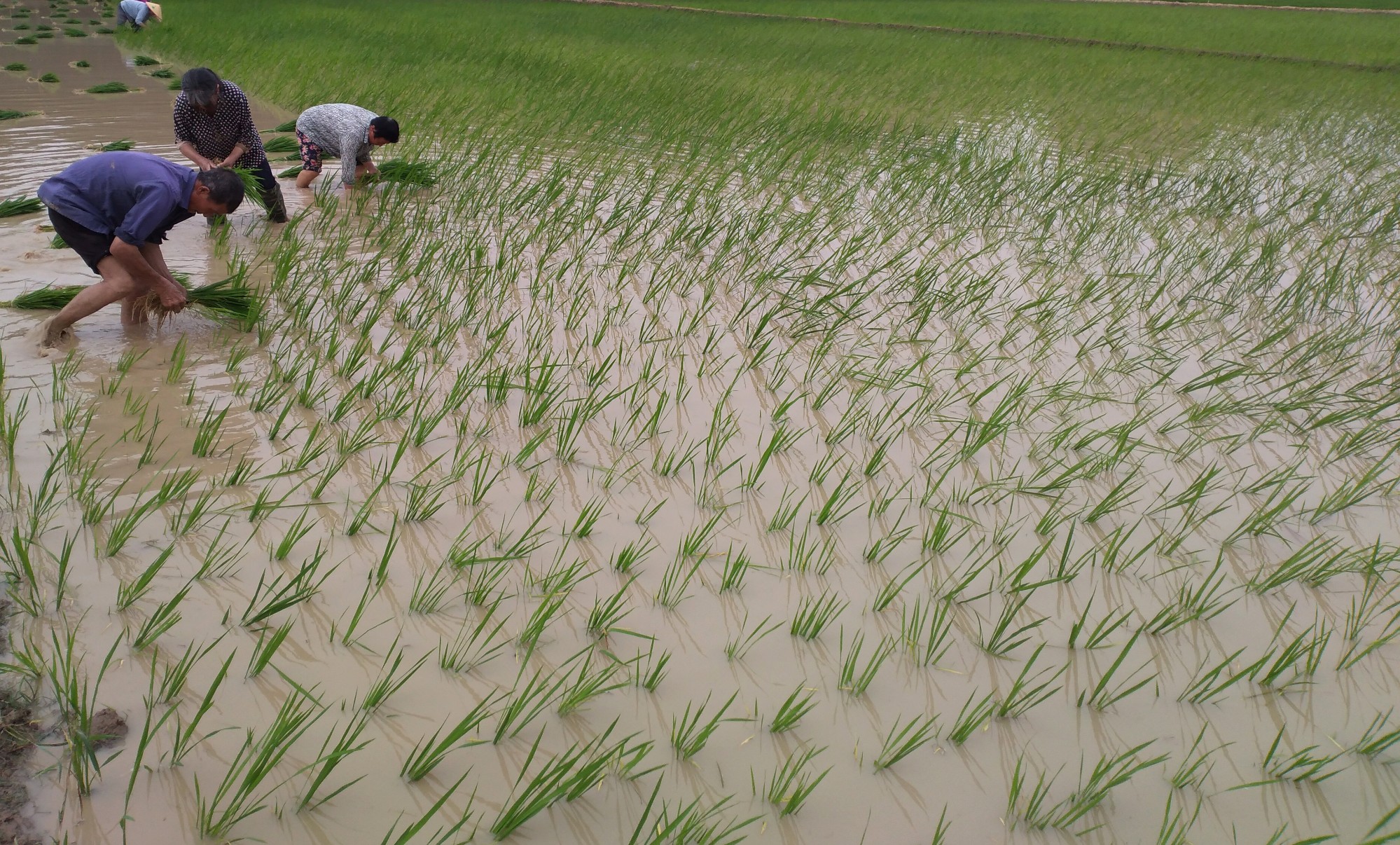 圖片關鍵詞 圖片關鍵詞