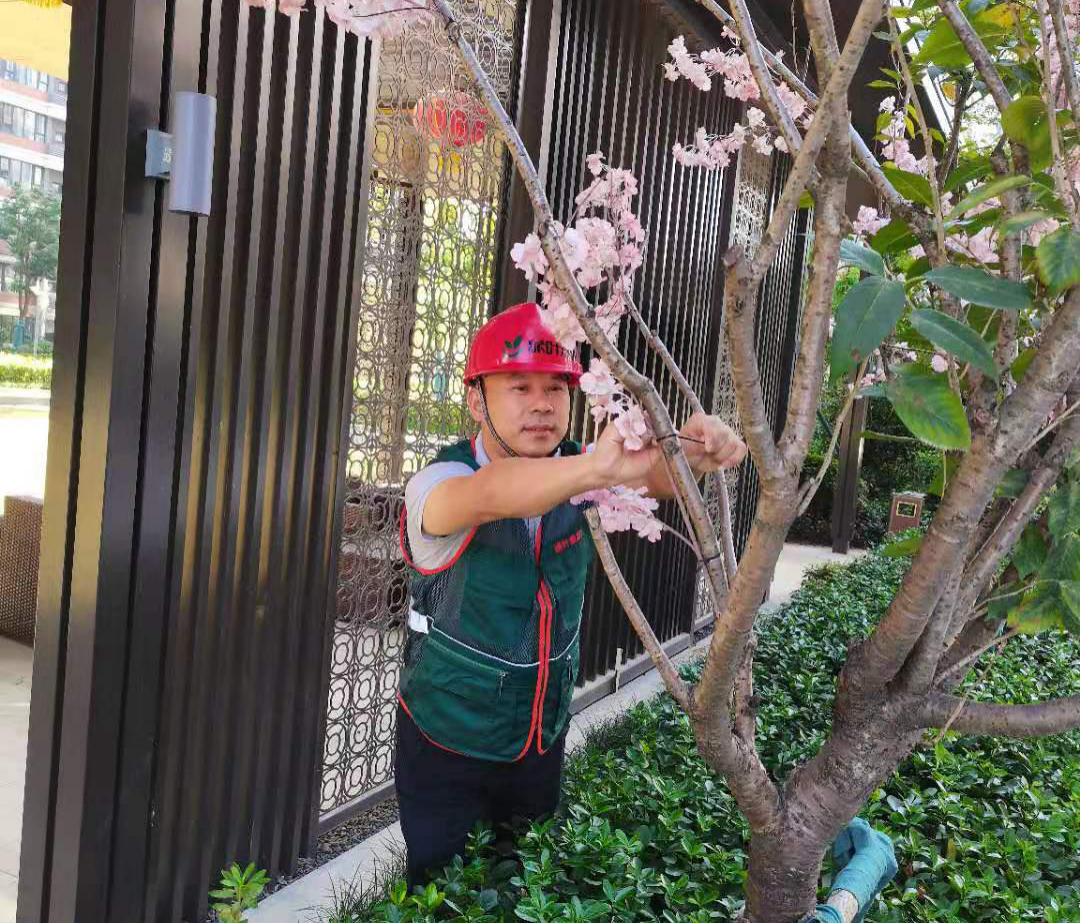 圖片關(guān)鍵詞 圖片關(guān)鍵詞