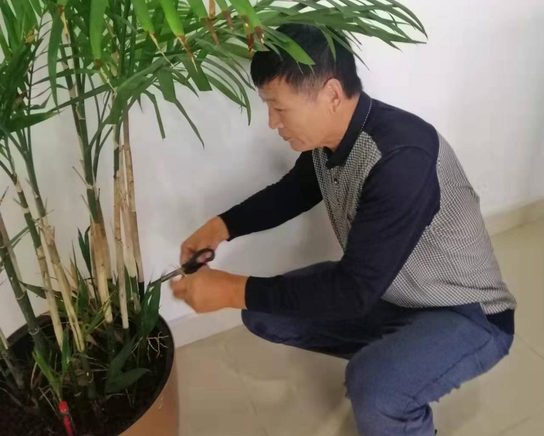 圖片關(guān)鍵詞 圖片關(guān)鍵詞