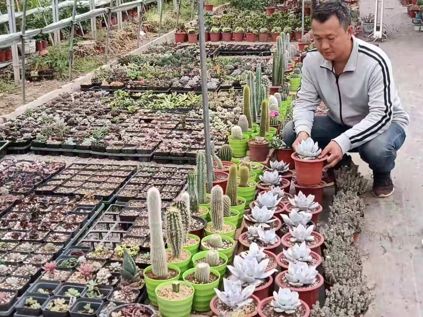 圖片關(guān)鍵詞 圖片關(guān)鍵詞