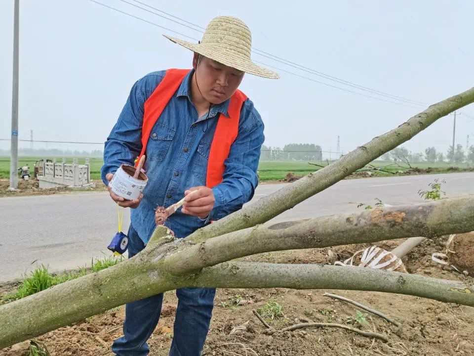 圖片關(guān)鍵詞 圖片關(guān)鍵詞