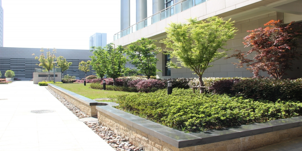 中國銀行集團客服中心(合肥)項目一期園林景觀工程